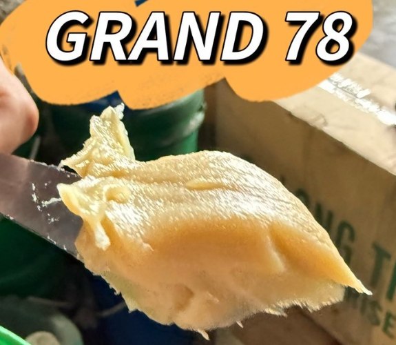 GRAND 78 全合成高溫高速潤滑油脂