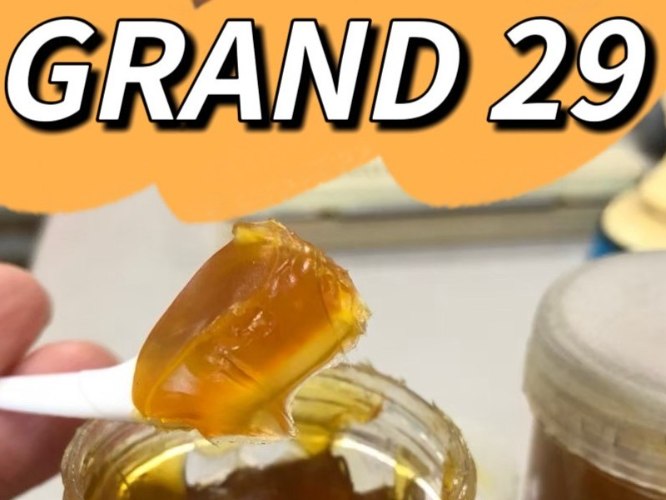 GRAND 29 重車用潤油脂